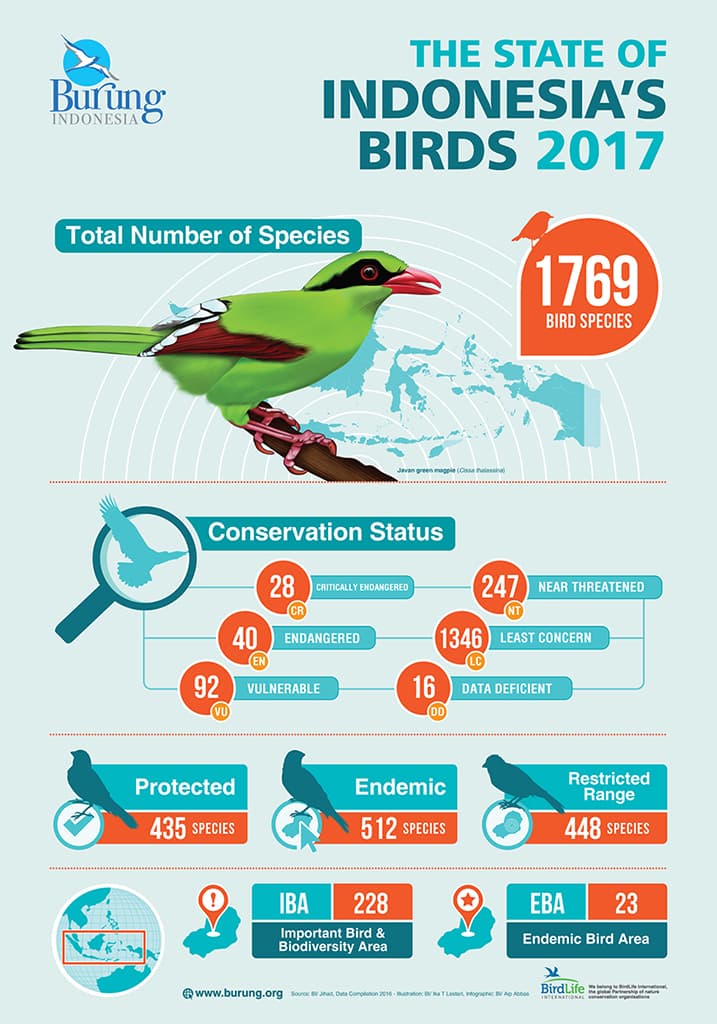 Jenis Bertambah, Ancaman Kehidupan Burung Juga Tak Mau Kalah - Thumbnail 1
