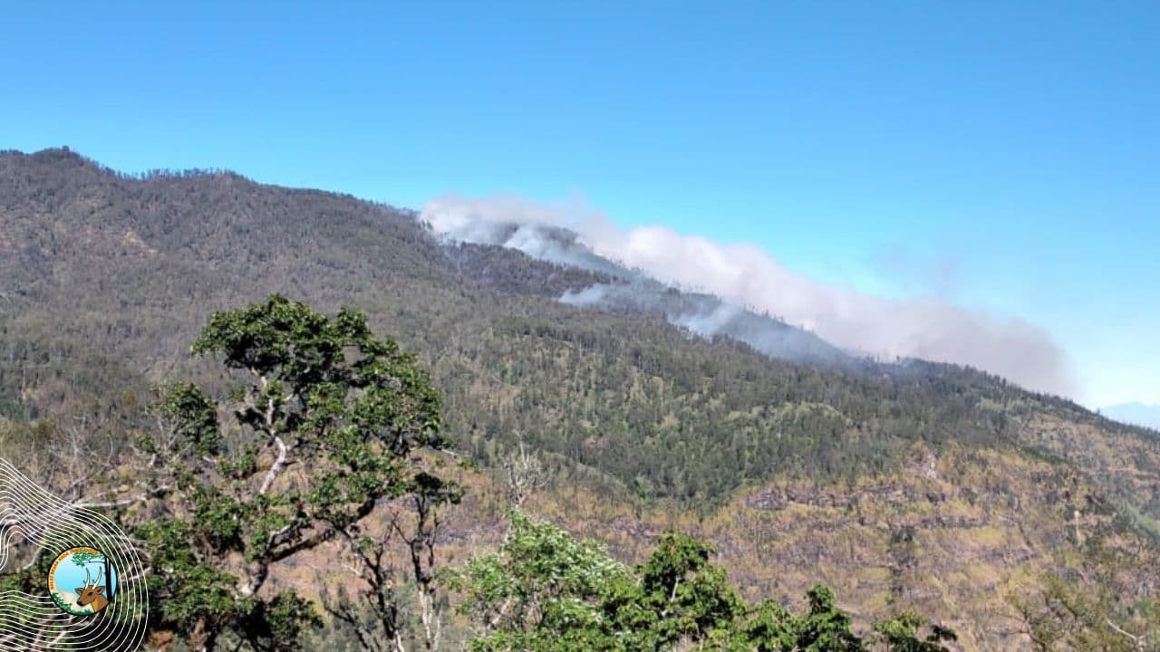 Argopuro Terbakar, Pendakian Ditutup - Thumbnail 2