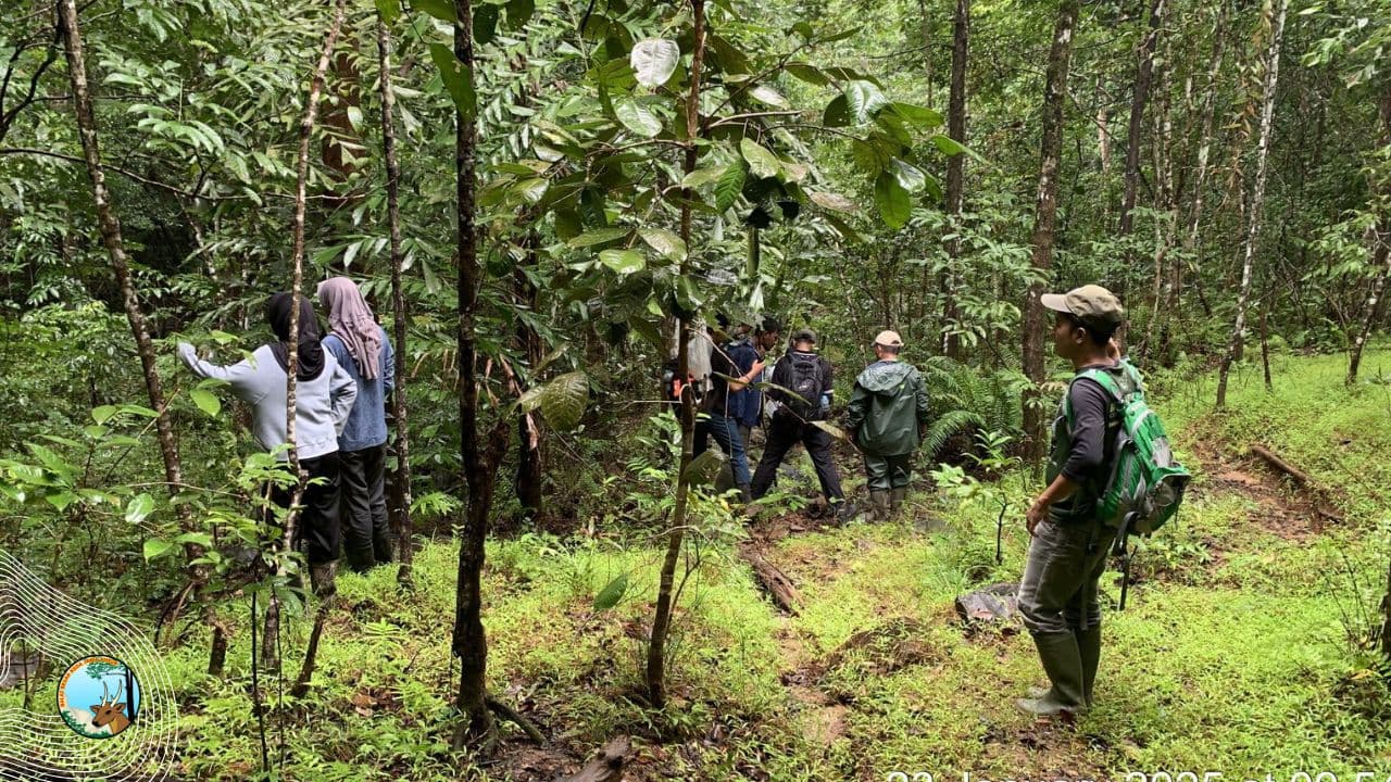 Patroli dan Pendampingan Penelitian : Mencermati Habitat Rusa Bawean Dan Babi Kutil