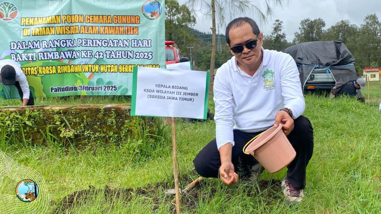 Bakti Rimbawan, Hijaukan Ijen dan Baung