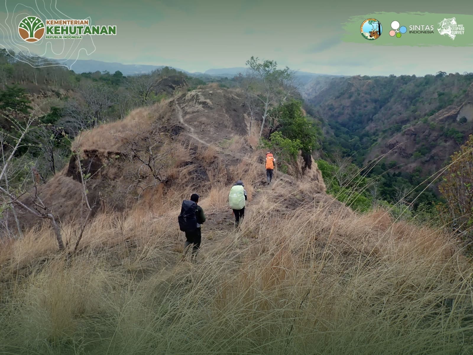 Menelusuri Jejak Macan Tutul Jawa di Rimba Raung-Ijen - Thumbnail 2