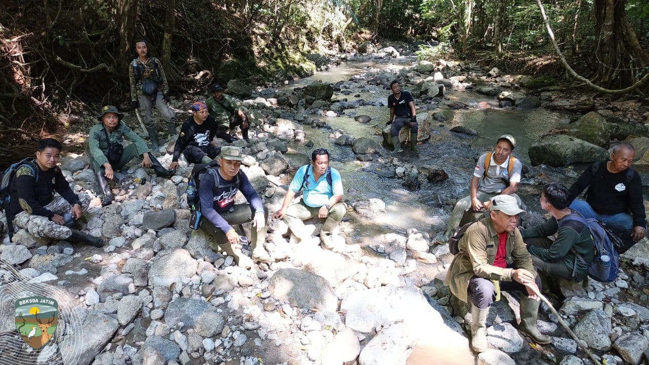 Jejak di Rimba Bawean: Warga Berjaga, Hutan Masih Terancam