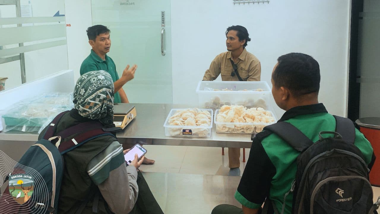 Perdagangan Kayu Sonokeling Dan Sarang Walet Bojonegoro Tembus Pasar Dunia, Tapi Kini Terancam Gagal Ekspor!