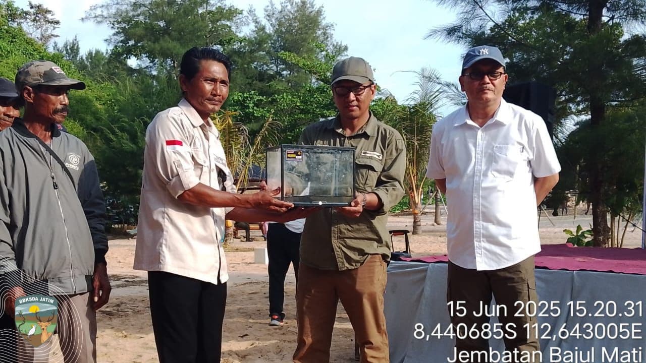 38 Tukik Menyentuh Pasir Kebebasan di Pantai Tanjung Penyu