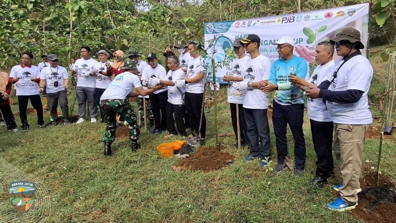 Berubulan, Dari Sumber Kehidupan Menuju Sumber Kesadaran