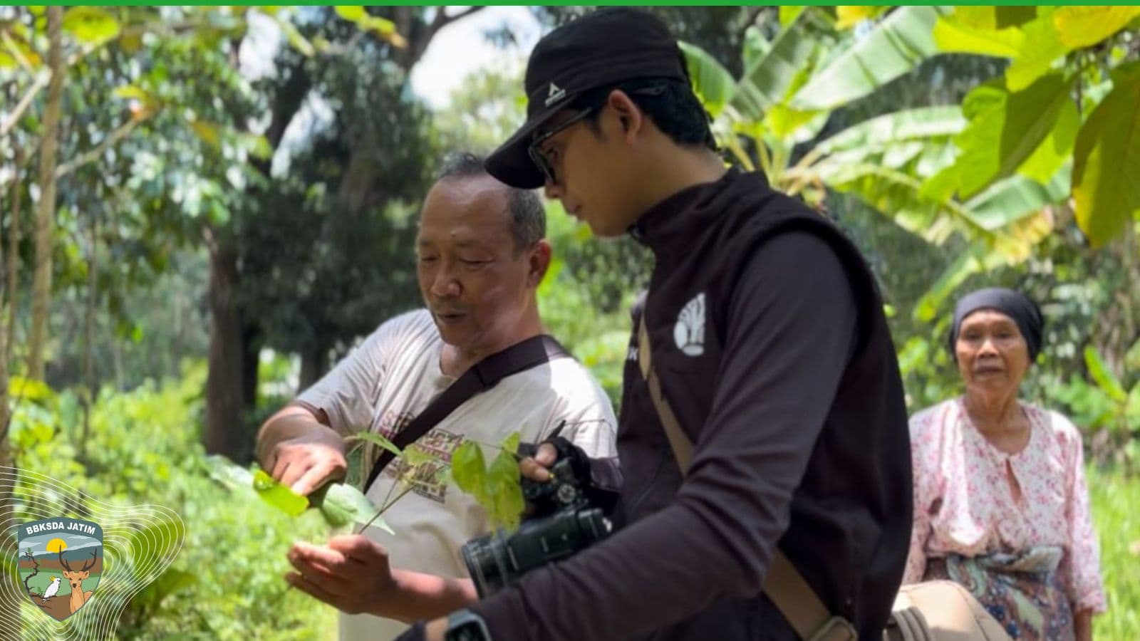 Ramuan Hidup Dari Pengetahuan Yang Bertahan Di Bawean