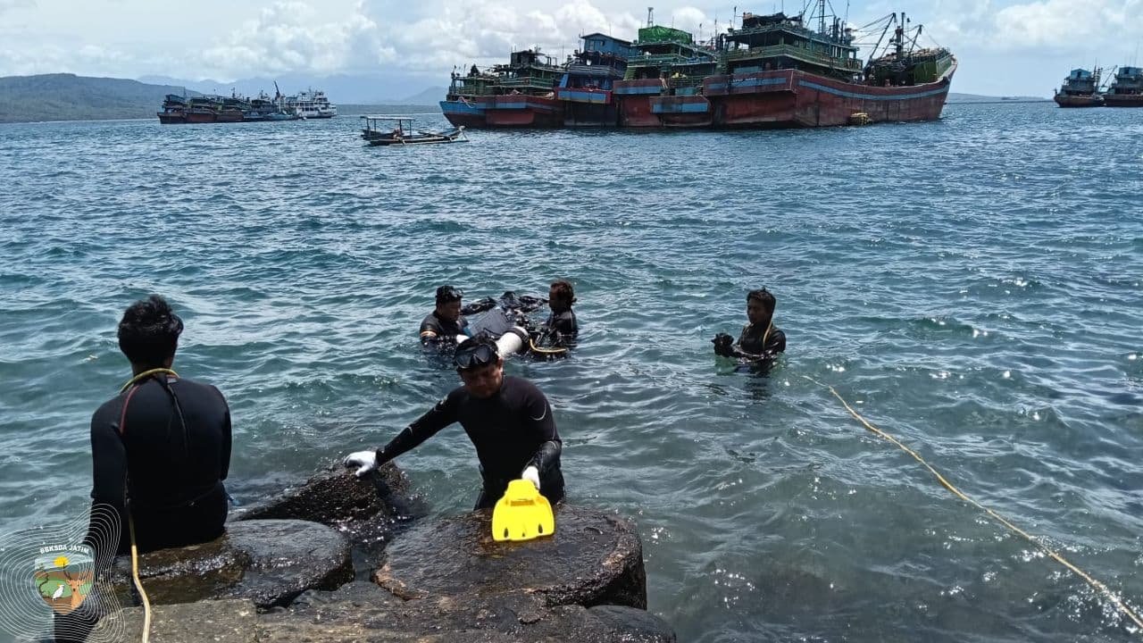 Tak Banyak Yang Tahu, Begini Cara Petugas Menjaga Karang Hias Agar Laut Tetap Hidup