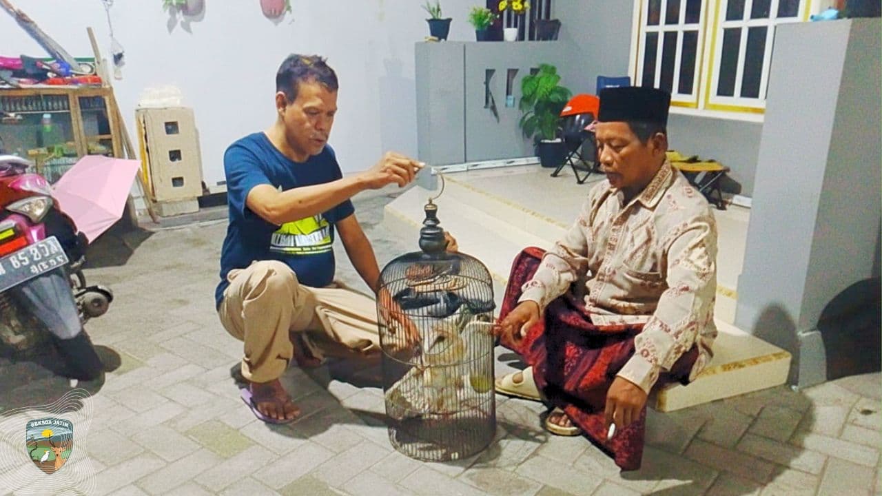 Diduga Lepas dari Peliharaan, Serak Jawa Diselamatkan Tim Matawali di Bangkalan