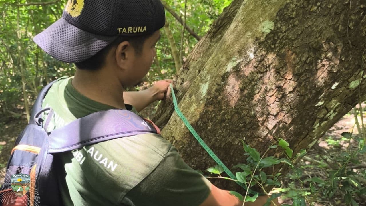 94 Jenis Tumbuhan, Jejak Rusa, Dan Sarang Gosong Yang Menunggu Diselamatkan Di Cagar Alam Pulau Saobi
