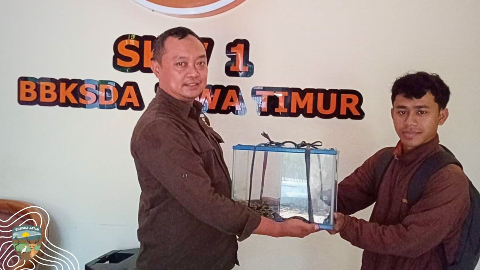 Dipungut dari Lereng Kelud, Jejak Sanca Dilindungi Berakhir di Besowo