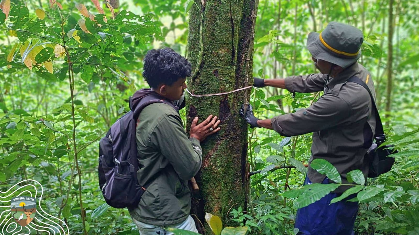 Pastikan Batas Kawasan Utuh, Tim Patroli Susuri Gunung Sigogor