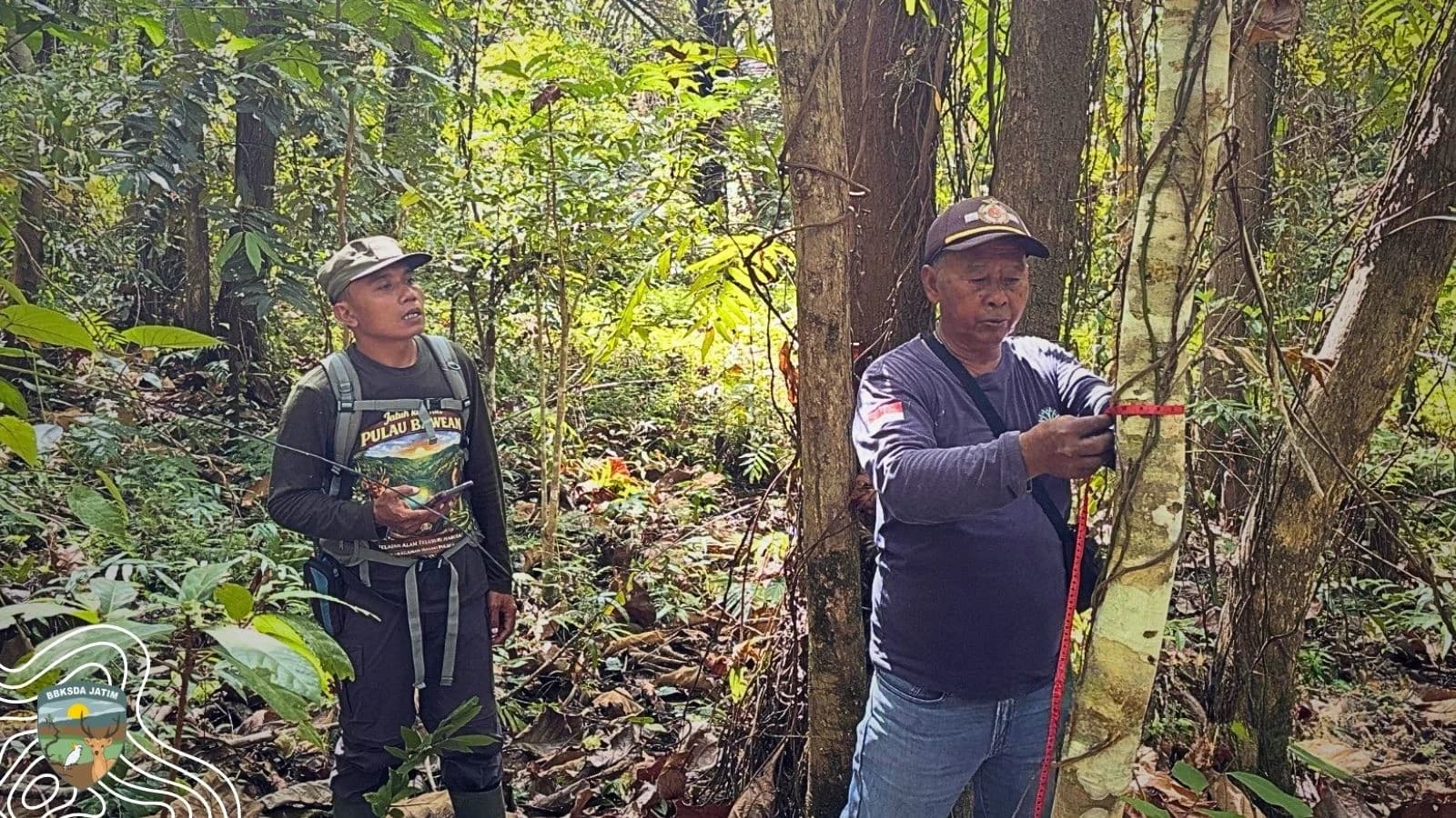 Smart Patrol Bawean: Menjaga Hutan Dengan Data, Menguatkan Konservasi Bersama Masyarakat