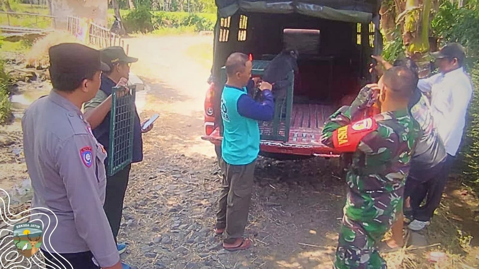 Kolaborasi Warga, TNI-Polri, dan BBKSDA Jatim Selamatkan Lutung Jawa