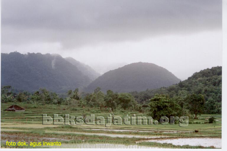 SM Bawean 03a