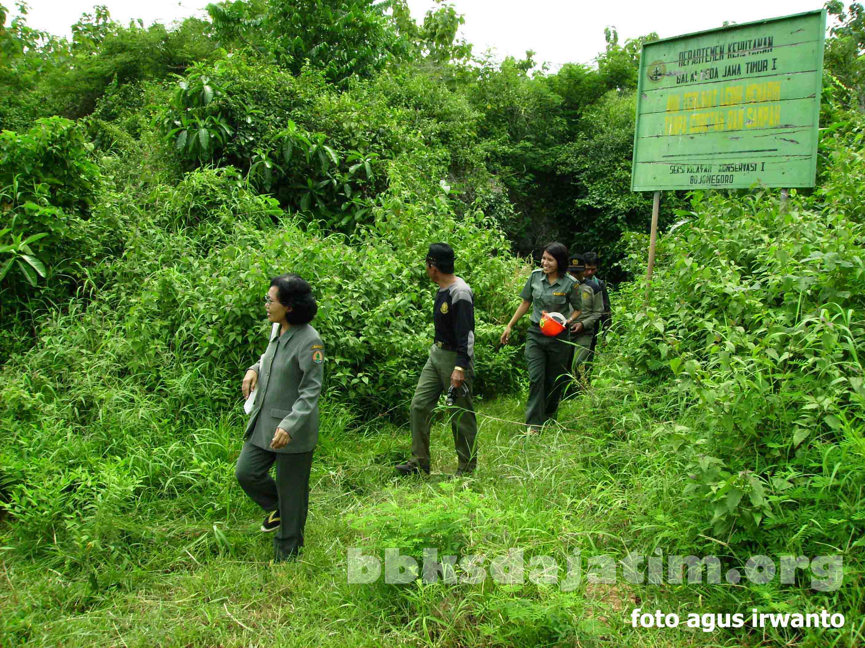 ca nglirip 001