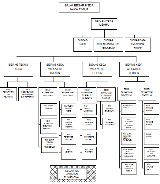 sturktur-organisasi