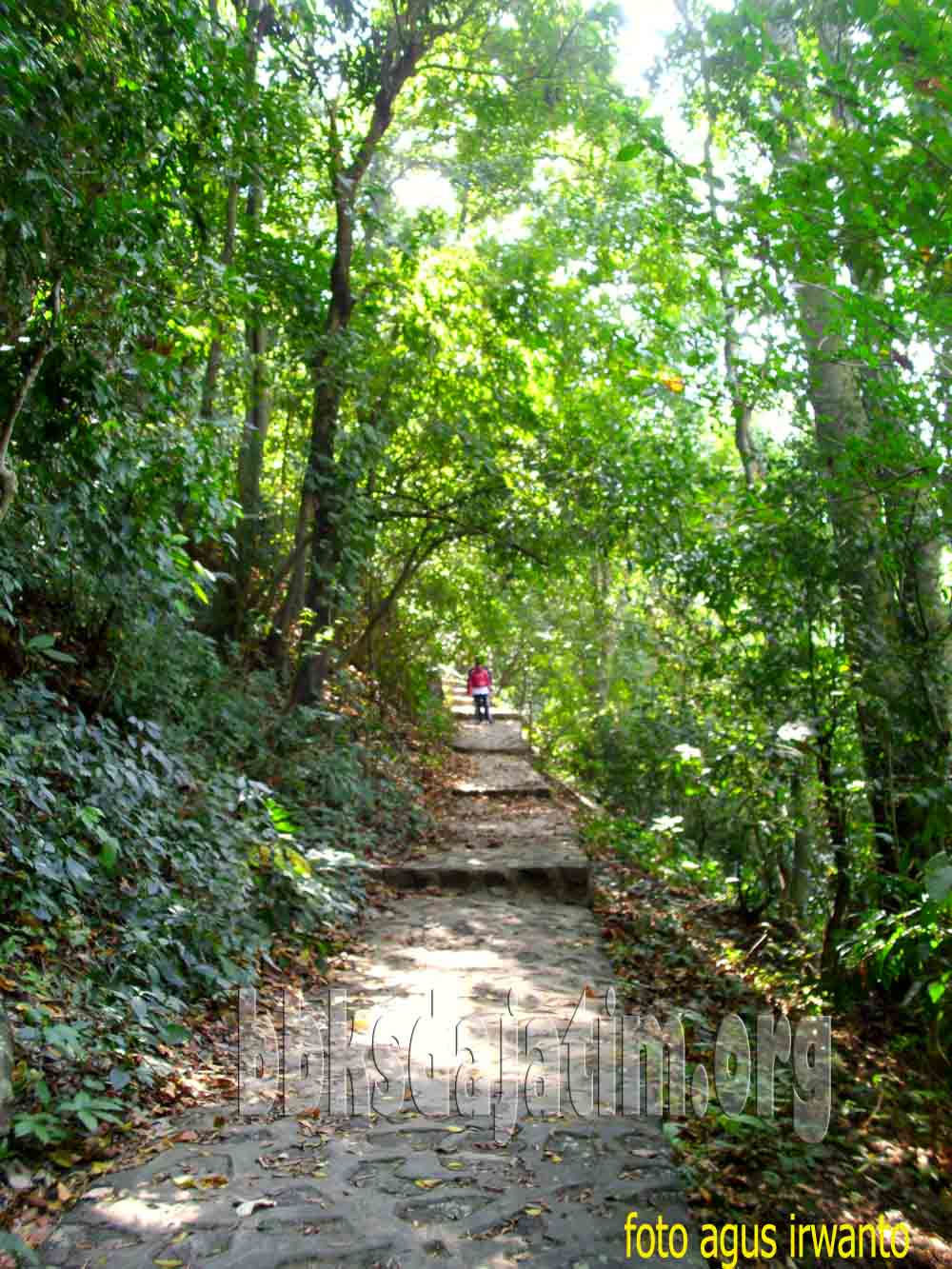 twa-baung002