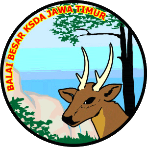 logo-app