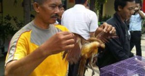 Index Of Wp Content Uploads 2015 09