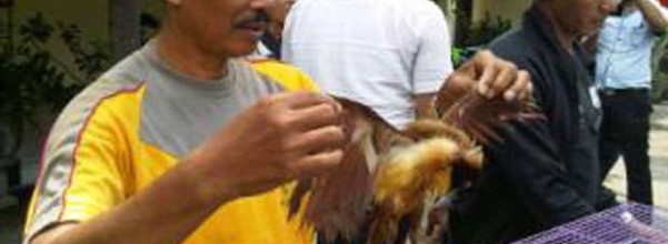 Index Of Wp Content Uploads 2015 09