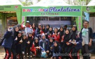 banyuwangi plantation fest