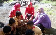 suluh baung