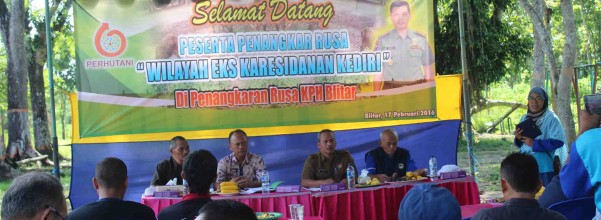 belajar-tagging
