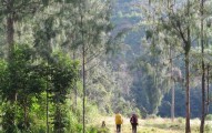 perburuan satwa merisaukan