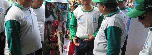 puncak hari lingkungan hidup