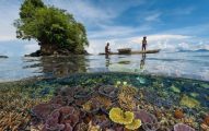 Laut berperan penting dalam melawan pemanasan global dengan menyerap sekitar 93 persen karbon dioksida yang dihasilkan akibat aktivitas manusia.