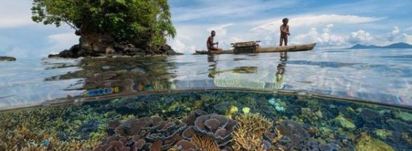 Laut berperan penting dalam melawan pemanasan global dengan menyerap sekitar 93 persen karbon dioksida yang dihasilkan akibat aktivitas manusia.