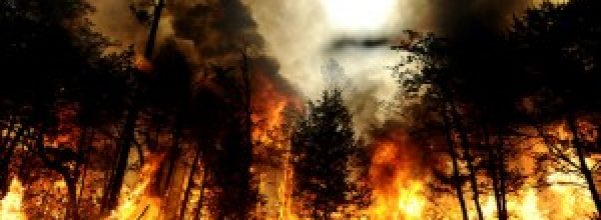 texas-wildfires-011-300x181