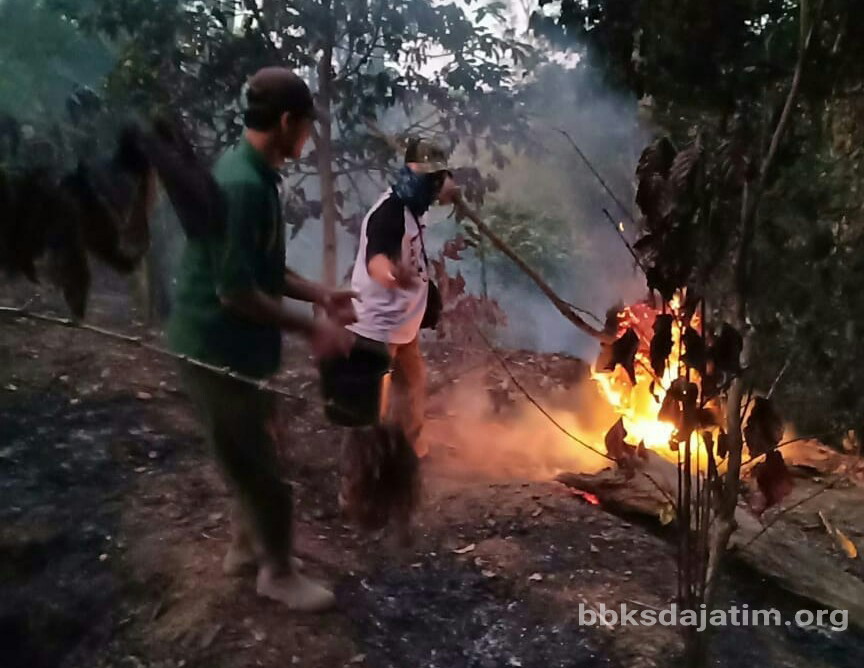 Api Hampir Lalap Besowo - Balai Besar KSDA Jawa Timur Api Hampir Lalap Bes