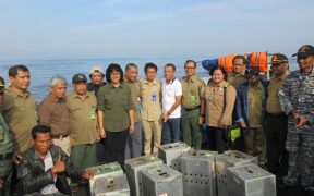 Pelepasan Monyet Ekor Panjang