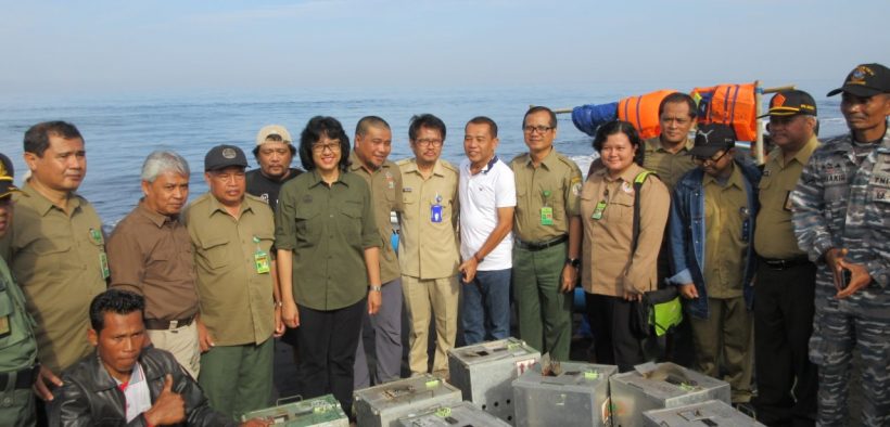 Pelepasan Monyet Ekor Panjang