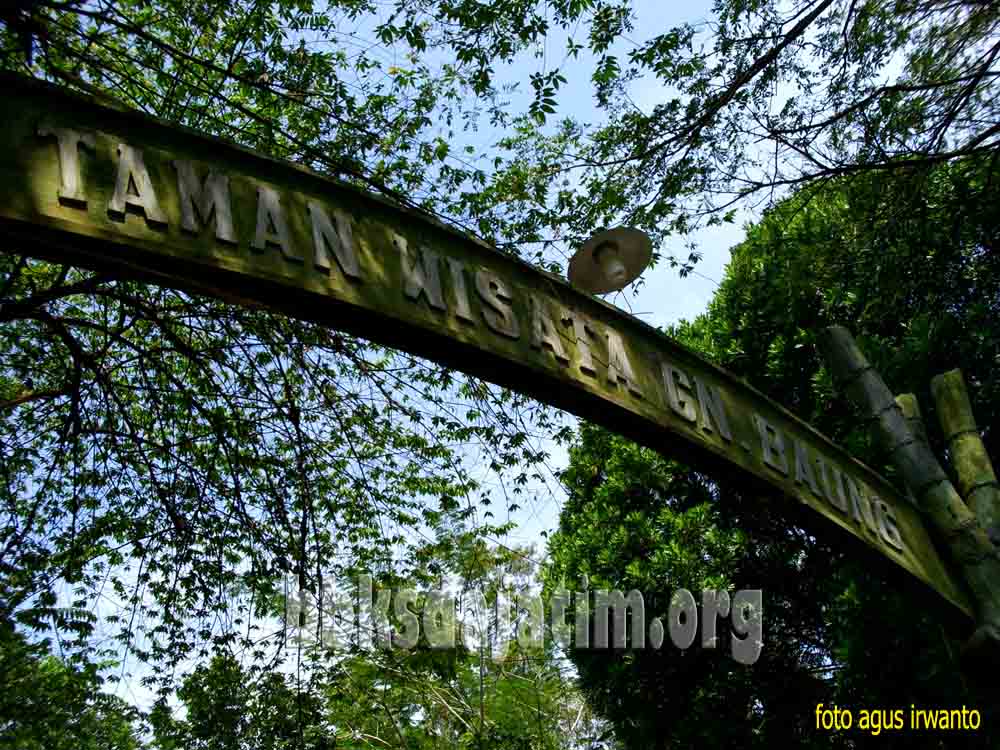 Taman Wisata Alam Gunung Baung - Balai Besar KSDA Jawa Timur